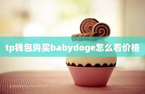 tp钱包购买babydoge怎么看价格