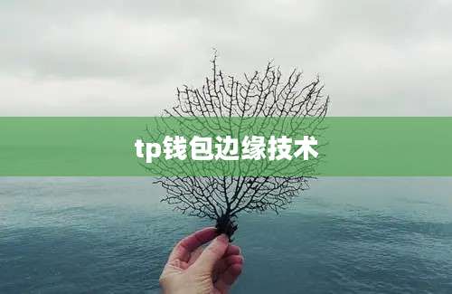 tp钱包边缘技术