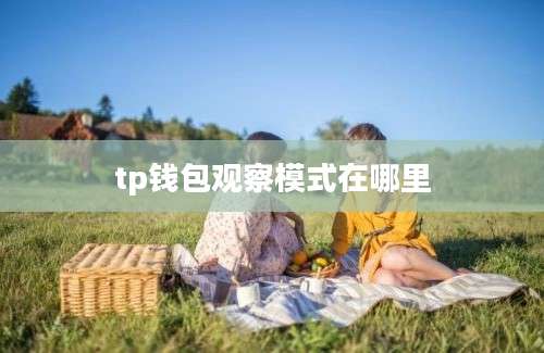 tp钱包观察模式在哪里