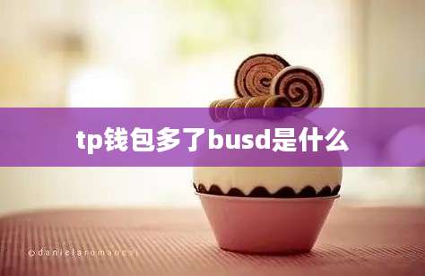 tp钱包多了busd是什么