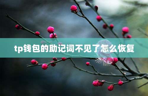 tp钱包的助记词不见了怎么恢复