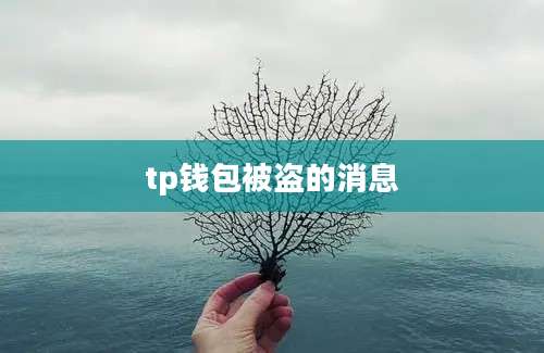 tp钱包被盗的消息