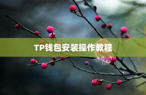 TP钱包安装操作教程