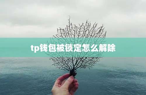 tp钱包被锁定怎么解除