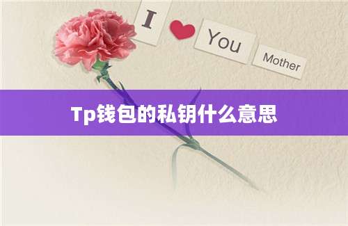 Tp钱包的私钥什么意思