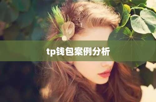 tp钱包案例分析