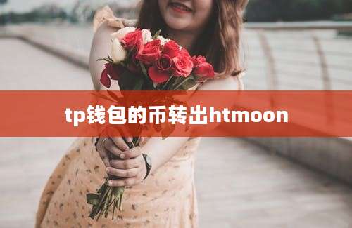 tp钱包的币转出htmoon