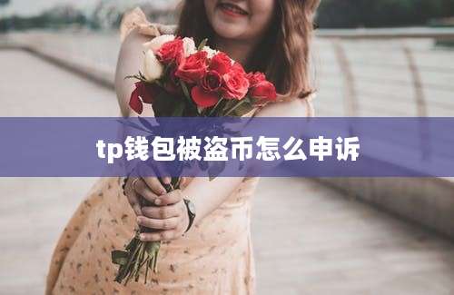 tp钱包被盗币怎么申诉