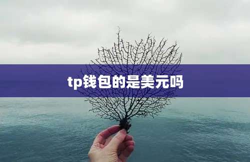 tp钱包的是美元吗