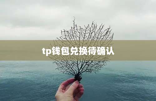 tp钱包兑换待确认