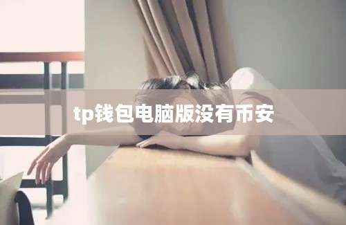 tp钱包电脑版没有币安