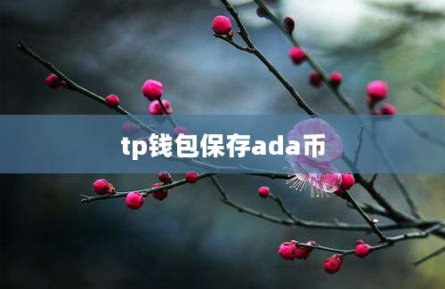 tp钱包保存ada币