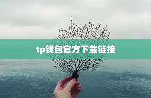 tp钱包官方下载链接