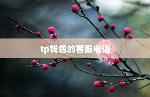 tp钱包的客服电话