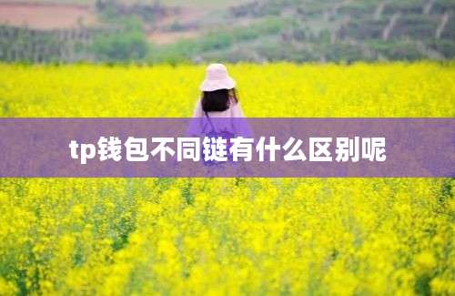 tp钱包不同链有什么区别呢