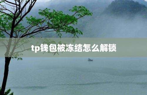 tp钱包被冻结怎么解锁