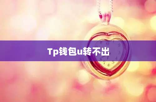 Tp钱包u转不出