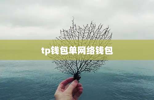 tp钱包单网络钱包