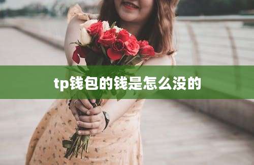 tp钱包的钱是怎么没的