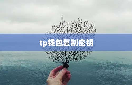 tp钱包复制密钥