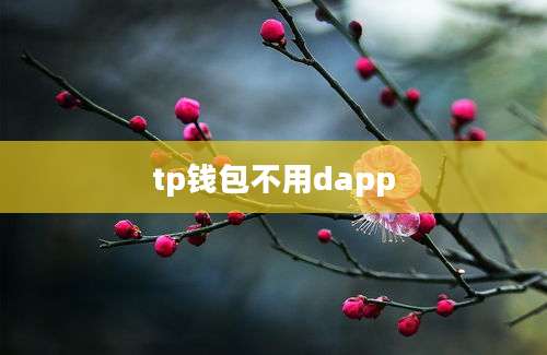 tp钱包不用dapp