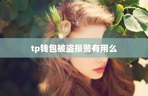 tp钱包被盗报警有用么