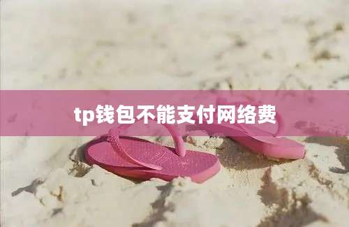 tp钱包不能支付网络费