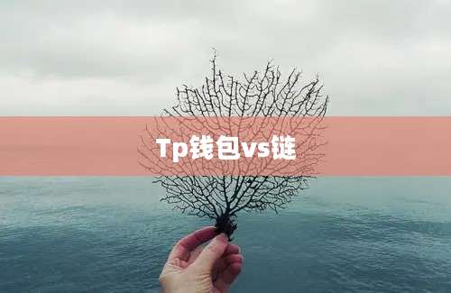 Tp钱包vs链