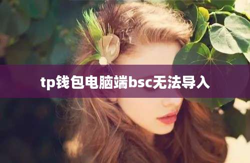 tp钱包电脑端bsc无法导入