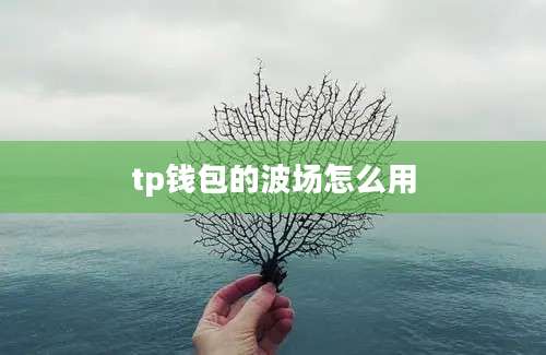 tp钱包的波场怎么用