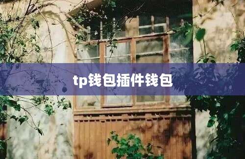 tp钱包插件钱包