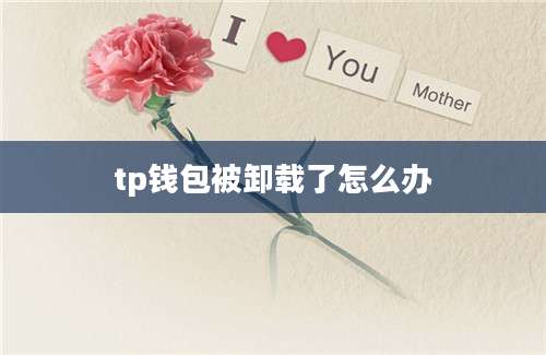 tp钱包被卸载了怎么办