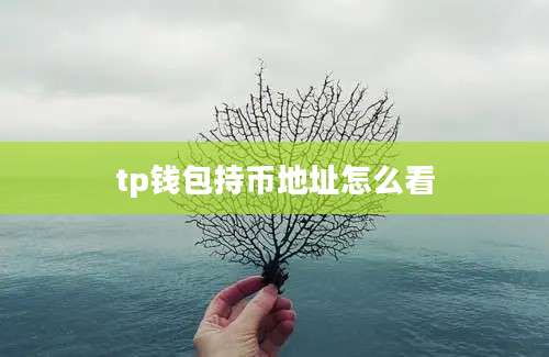 tp钱包持币地址怎么看