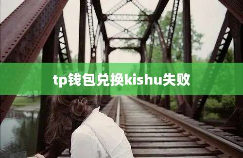 tp钱包兑换kishu失败