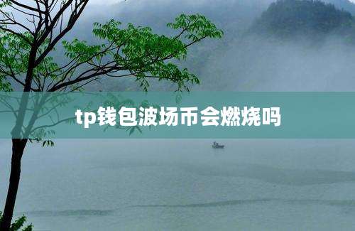 tp钱包波场币会燃烧吗