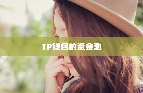 TP钱包的资金池