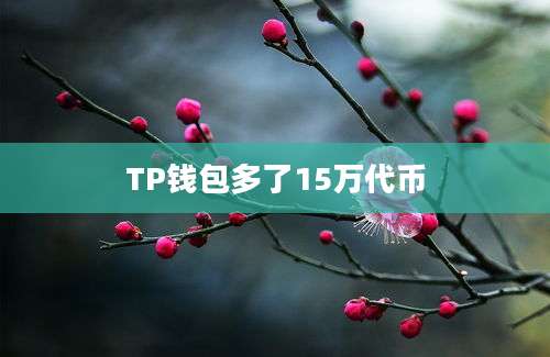 TP钱包多了15万代币