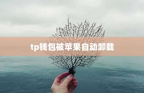 tp钱包被苹果自动卸载