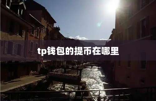 tp钱包的提币在哪里