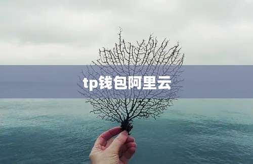 tp钱包阿里云