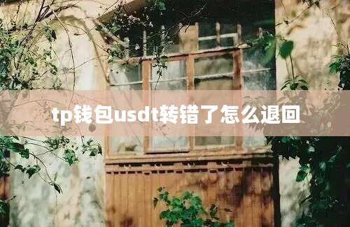 tp钱包usdt转错了怎么退回