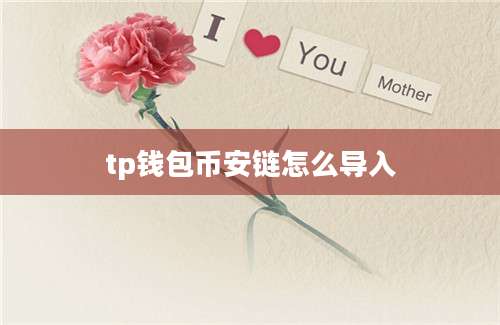 tp钱包币安链怎么导入