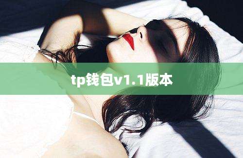 tp钱包v1.1版本