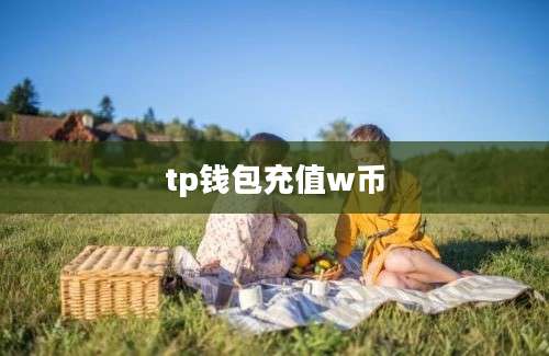 tp钱包充值w币