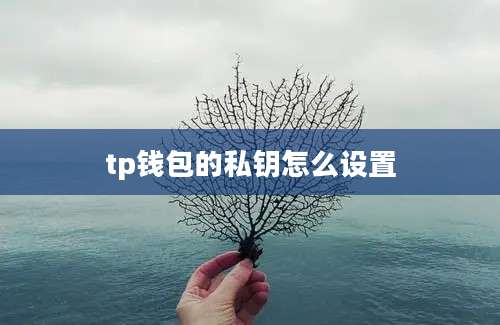 tp钱包的私钥怎么设置