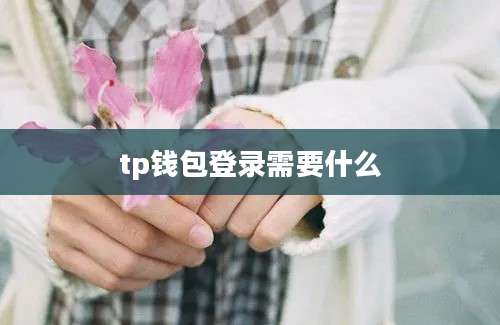 tp钱包登录需要什么