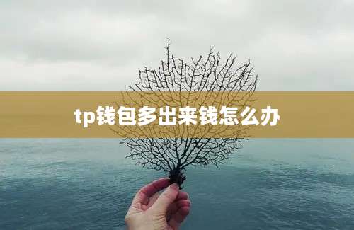 tp钱包多出来钱怎么办