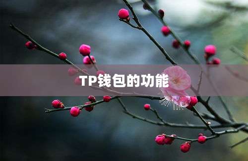 TP钱包的功能