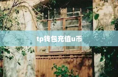 tp钱包充值u币