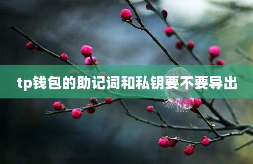 tp钱包的助记词和私钥要不要导出